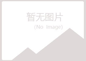 河池从寒能源有限公司